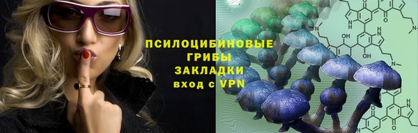 apvp Баксан